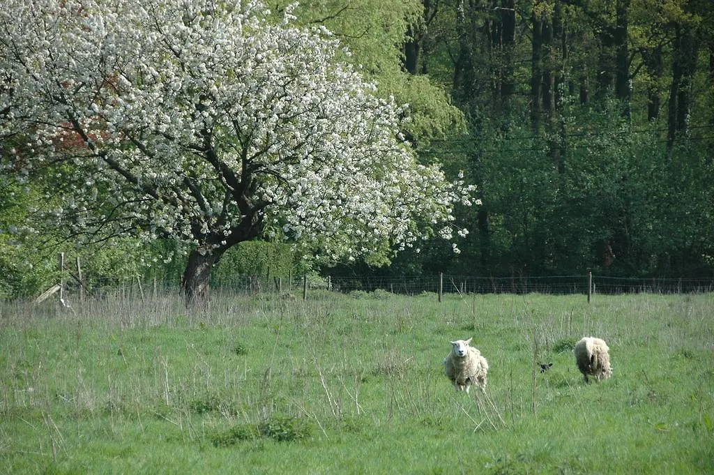 Bed & Breakfast Gastenlogies Blauwe Schaap Ranst
